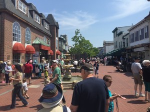 101 Things to Do in Cape May