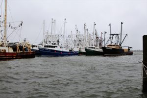Winter Storm Toby Fourth Nor’easter in Cape May