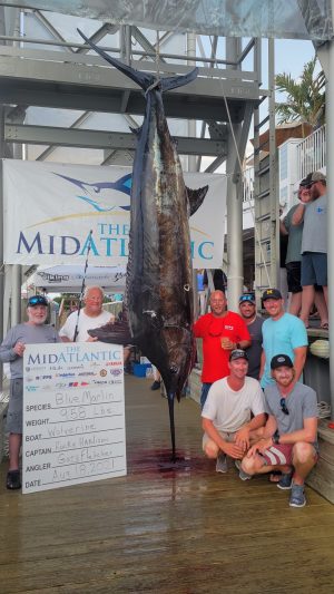 Tournament Record Blue Marlin and a Brace of Big Eye Tuna Headline Day Three of 30th MidAtlantic